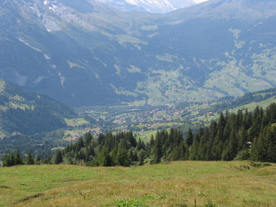 Abfahrt Grosse Scheidegg, Blick auf Grindelwald