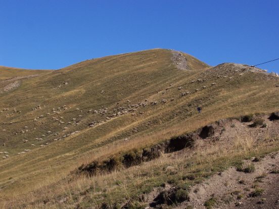 Col d´Allos