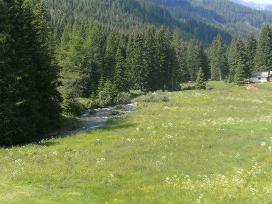 Kurz vor dem Pass